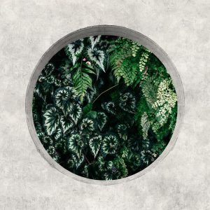 AS foto tapeta - Walls by Patel 3 - Deep Green 1