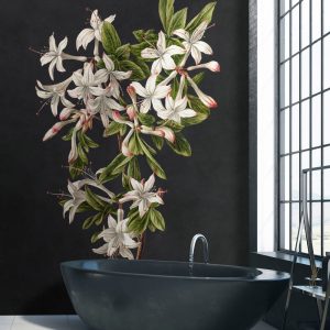 Alternative view of AS foto tapeta - Walls by Patel 3 - Midnightgarde2