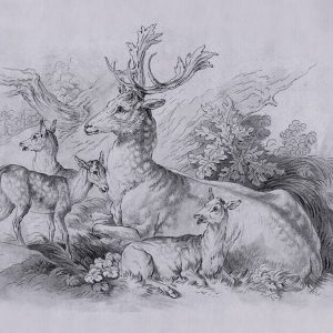 AS foto tapeta - Walls by Patel 3 - On The Grass 2