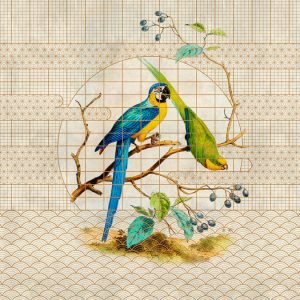 AS foto tapeta - Walls by Patel 3 - Voliere 3