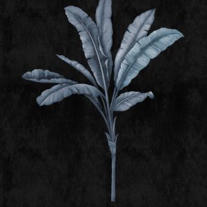 AS foto tapeta - Walls by Patel 3 - Fiji 2