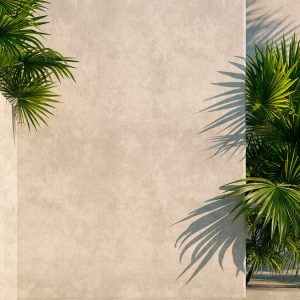 AS foto tapeta - Walls by Patel 3 - Tunis 1