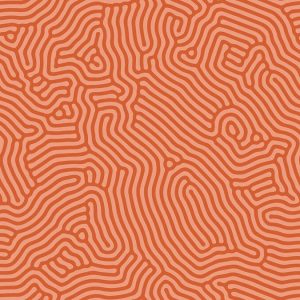 AS foto tapeta - Walls by Patel 3 - Sahel 3