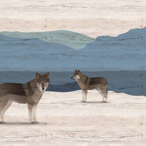 AS foto tapeta - Walls by Patel 3 - Yukon 1