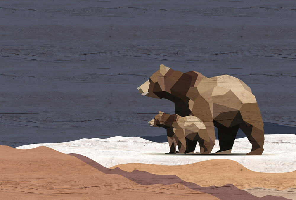 AS foto tapeta - Walls by Patel 3 - Yukon 3