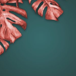 Alternative view of Foto tapeta Designwalls 2 - RedPalm       (Rdeča Palma)