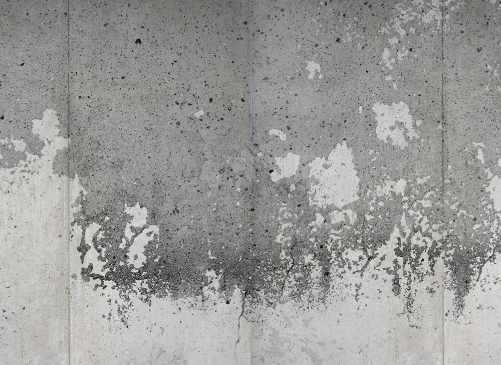 Foto tapeta Designwalls 2 - PaintedWall (Pobarvana Zena) - slika 2