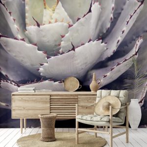 Alternative view of Foto tapeta Designwalls 2 - Cactusplant   (Kaktus)