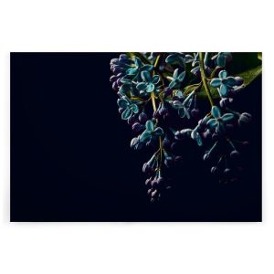 Slika na platnu Designwalls 2 - DarkFlowers2 (Temne Rože2)