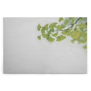 Slika na platnu Designwalls 2 - Ginkgo1 (Ginkgo1)