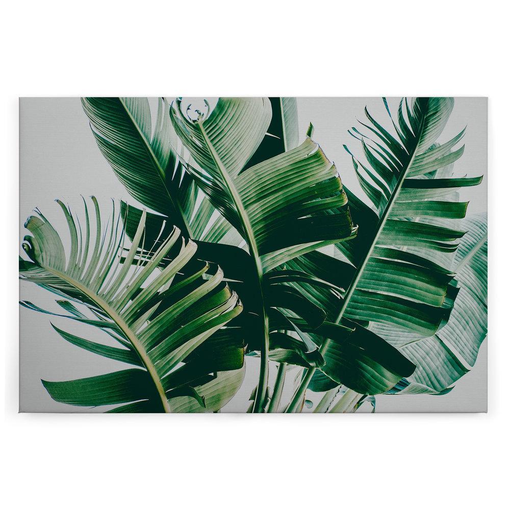Slika na platnu Designwalls 2 - PalmFronds1 (Palmovi Listi1)