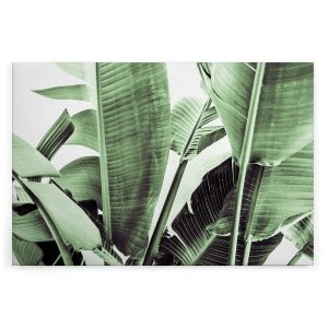 Slika na platnu Designwalls 2 - PalmFronds2 (Palmovi Listi2)