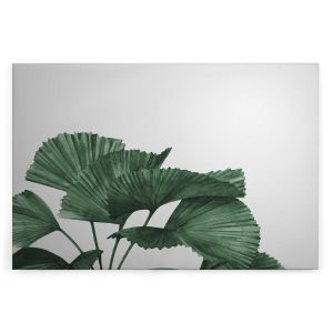 Slika na platnu Designwalls 2 - TropicalLeaves (Tropical Leaves)