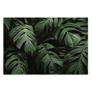 Slika na platnu Designwalls 2 - JungleLeaves  (Džungla Listje)