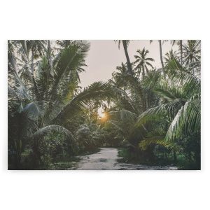 Slika na platnu Designwalls 2 - TropicalPalm  (Tropical Palm)