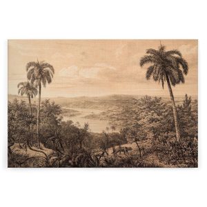 Slika na platnu Designwalls 2 - JungleVintage (Džungla Starinsko)