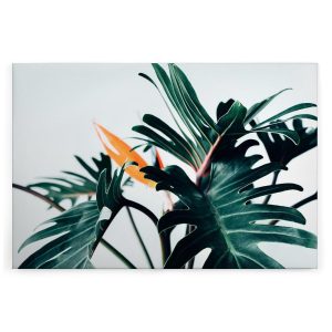 Slika na platnu Designwalls 2 - PalmDeatil (Detailna Palma)