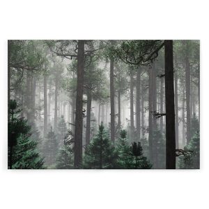 Slika na platnu Designwalls 2 - TreesInFog    (Drevesa V Megli)