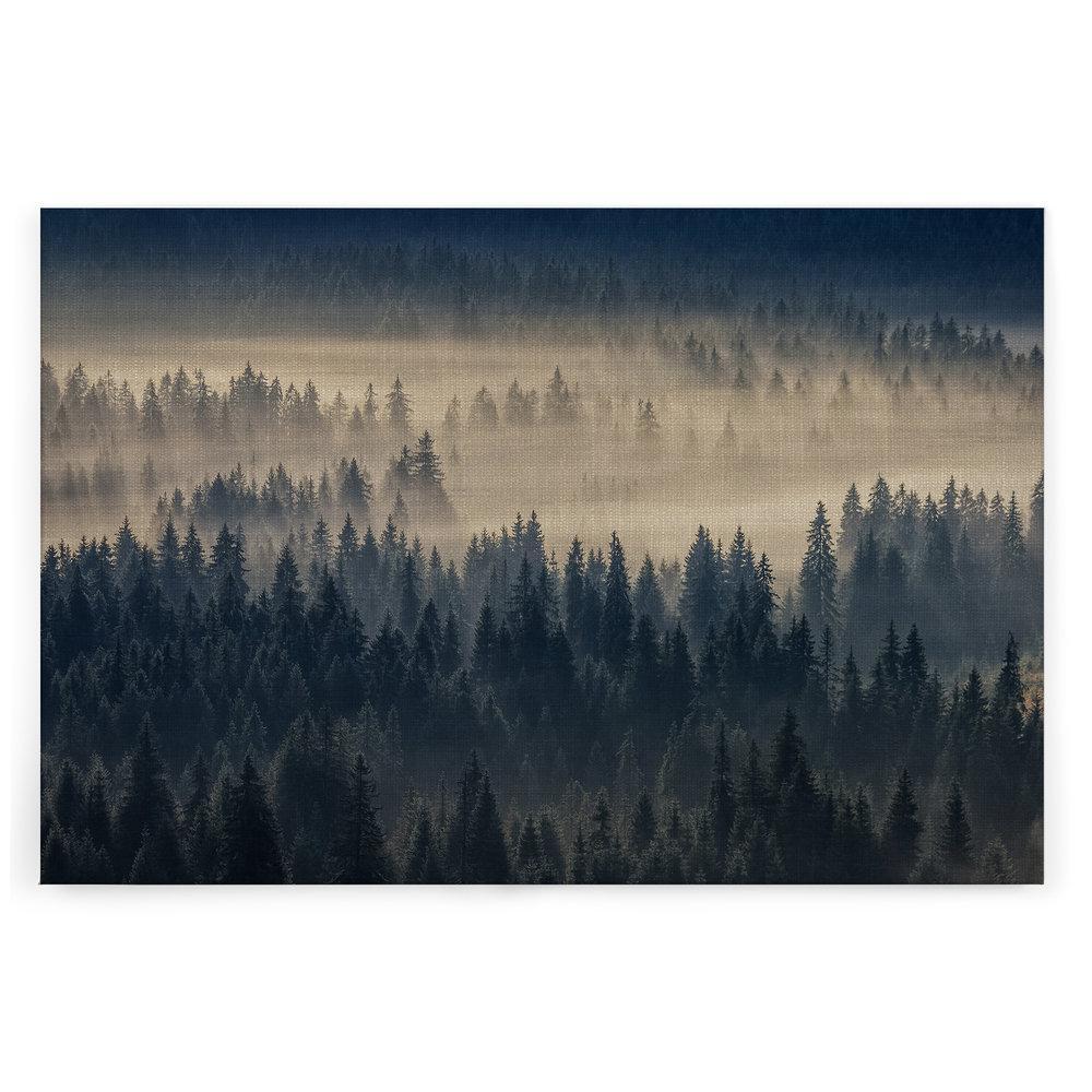 Slika na platnu Designwalls 2 - ForestInFog (Gozd V Megli)