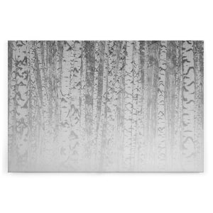 Slika na platnu Designwalls 2 - BirchForest1  (Brezov Gozd 1)
