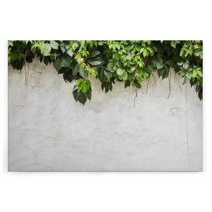 Slika na platnu Designwalls 2 - PlantOnWall (Rastlina Na Zidu)