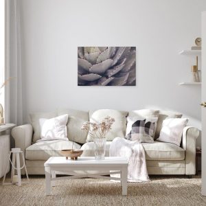 Alternative view of Slika na platnu Designwalls 2 - Cactusplant   (Kaktus Rastlina)