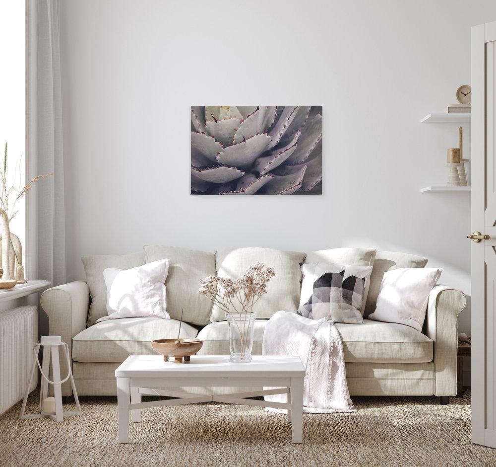 Slika na platnu Designwalls 2 - Cactusplant (Kaktus Rastlina) - slika 2