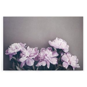 Slika na platnu Designwalls 2 - PinkPeonies   (Roza Potonike)