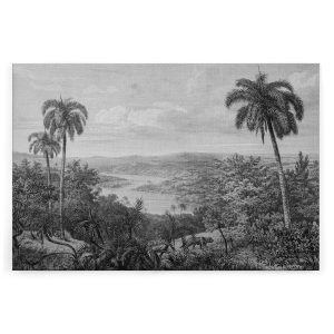 Slika na platnu Designwalls 2 - JungleVintage2(Džungla Starinsko2)