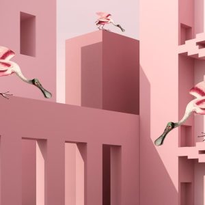 Alternative view of AS foto tapeta - Walls by Patel 4 - Fable