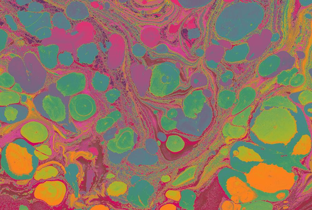 AS foto tapeta - Walls by Patel 4 - Flow - slika 2