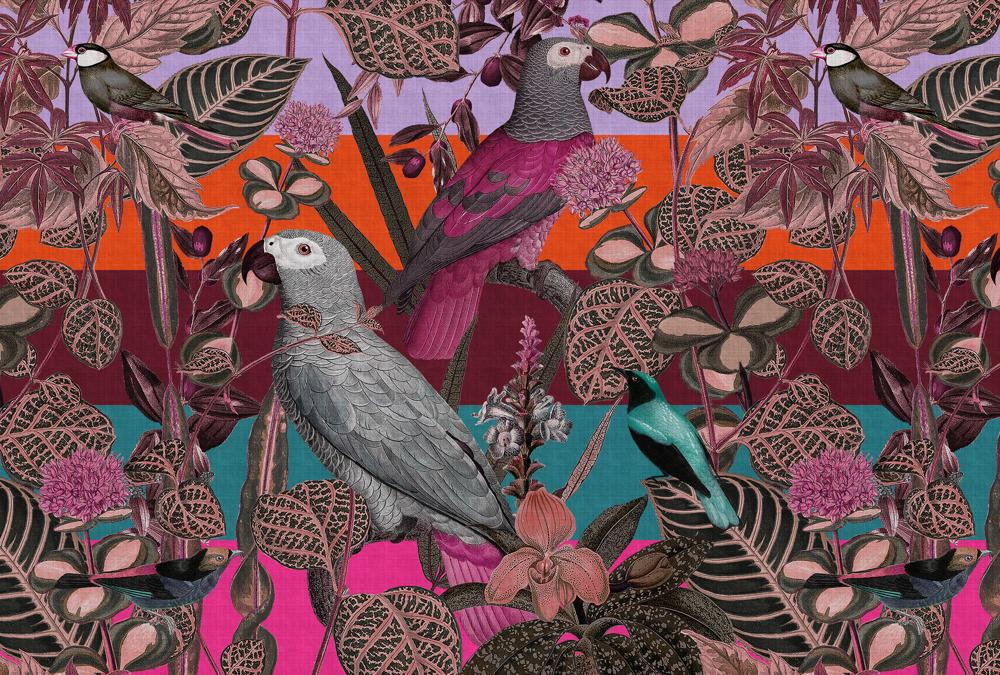 AS foto tapeta - Walls by Patel 4 - Amazona 1 - slika 2