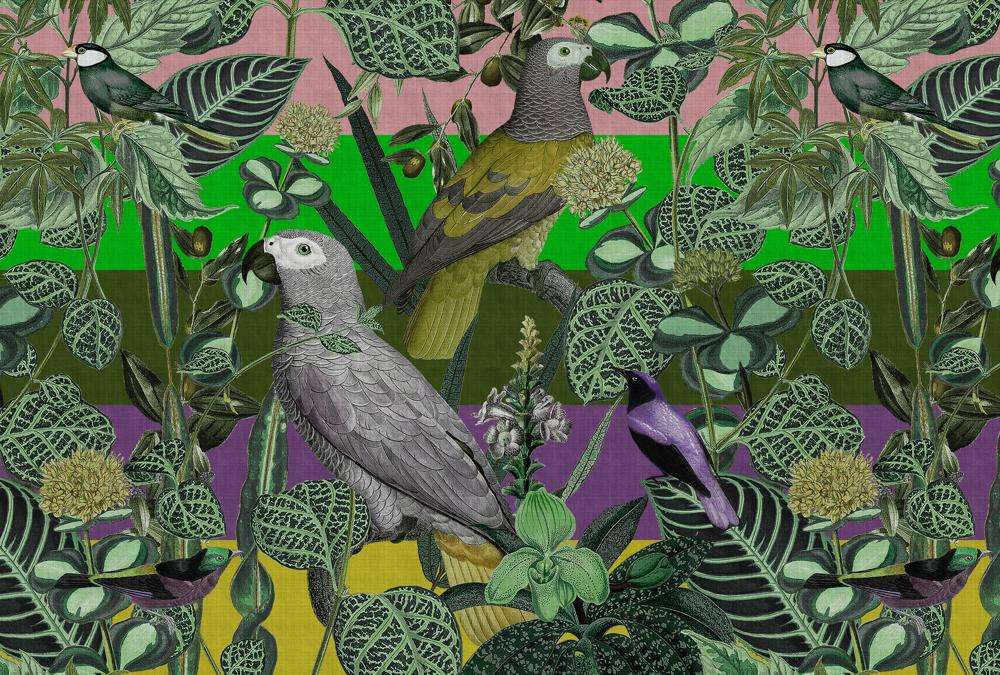 AS foto tapeta - Walls by Patel 4 - Amazona 2 - slika 2