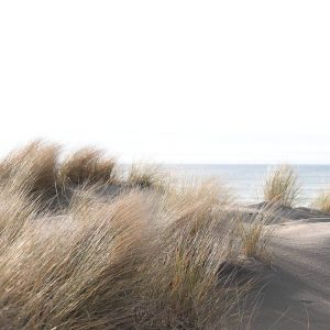 MARBURG tapeta - SMART ART EASY