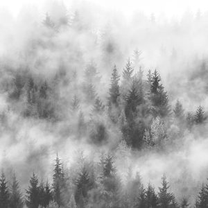 MARBURG tapeta - SMART ART EASY