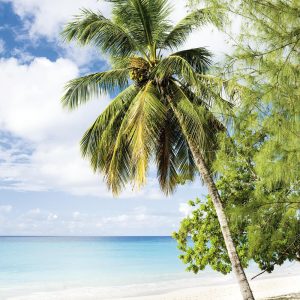 MARBURG tapeta - SMART ART EASY