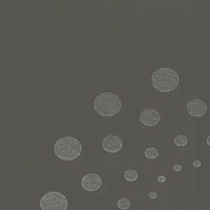 MARBURG tapeta  - The new amsterdam book 55581M