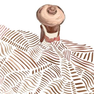 MARBURG fototapeta  - Leyla 81643M