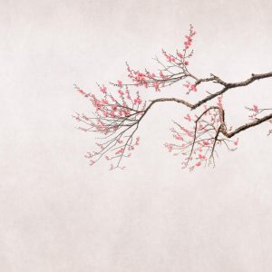 RASCH fototapeta - Magic Walls 361070R - 2,65 x 2,65 m