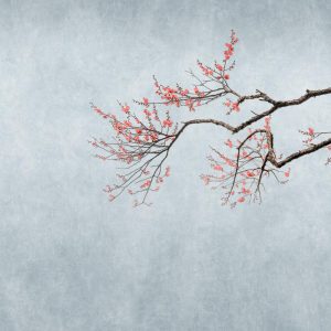 RASCH fototapeta - Magic Walls 361094R - 2,65 x 2,65 m