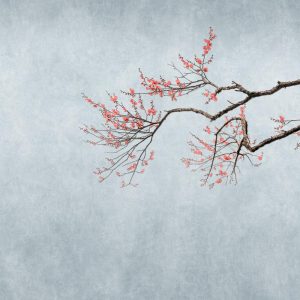 RASCH fototapeta - Magic Walls 362800R - 2,65 x 3 m