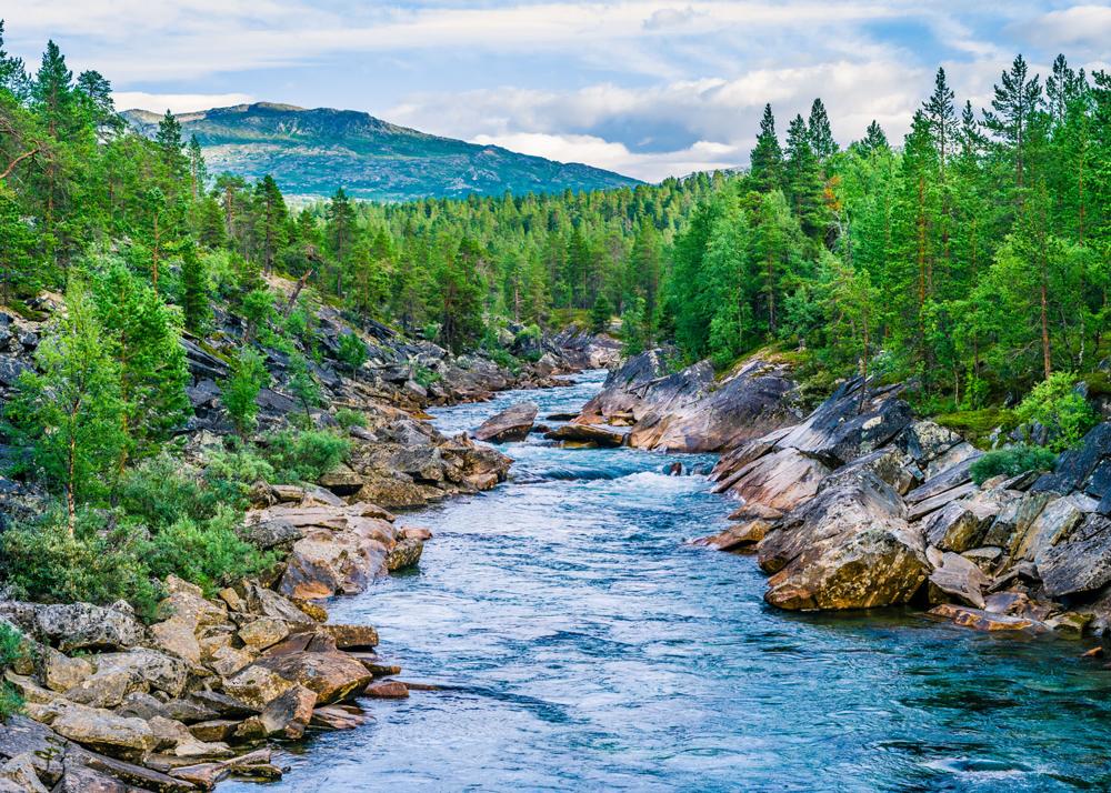 RASCH fototapeta - Magic Walls 363272R - 3,71 x 2,65 m