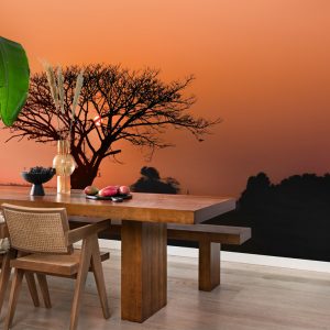 Alternative view of RASCH fototapeta  - African Queen III 363647R