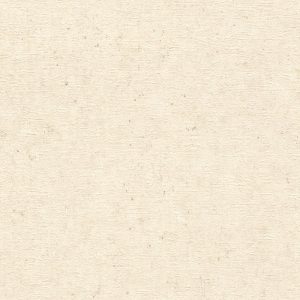 RASCH tapeta  - Factory V 520835R