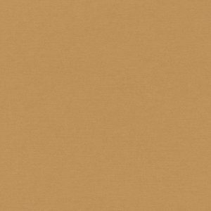 RASCH tapeta  - SCHÖNER WOHNEN "Cosy Living" 600292R