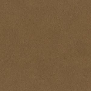 RASCH tapeta  - African Queen III 751079R