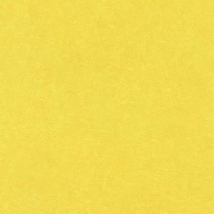 RASCH tapeta - b.b home passion VI