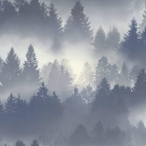 RASCH tapeta - b.b home passion VI