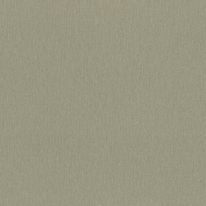 RASCH tapeta  - Ascona 979398R